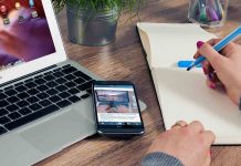 Creative decorating with houseplants, from floor to ceiling