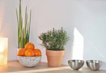 Audio Tour App Detour Steers You Away from the Typical Tourist Traps