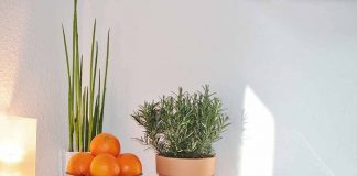 StreetScore scores a street view based on how safe it looks to a human