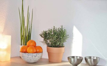 Audio Tour App Detour Steers You Away from the Typical Tourist Traps