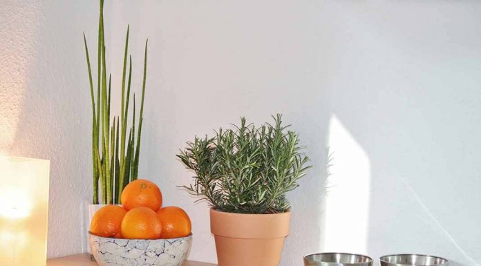 After Effects Guru: Tracking and Stabilizing Footage