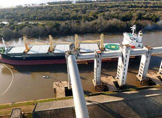 Buque panameño carga arroz en el puerto de Concepción del Uruguay