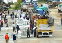 El puerto de Concepción del Uruguay a pleno