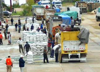 El puerto de Concepción del Uruguay a pleno