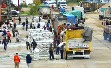 El puerto de Concepción del Uruguay a pleno