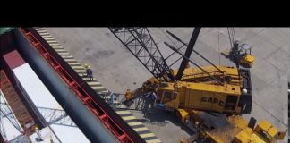 Cinco frigoríficos exportan desde el puerto de Concepción del Urguay