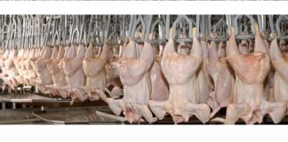 La provincia reclamará a la Nación por la situación de la cadena avícola