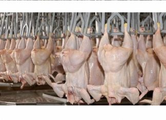 La provincia reclamará a la Nación por la situación de la cadena avícola