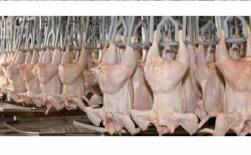 La provincia reclamará a la Nación por la situación de la cadena avícola