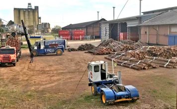 Novedosa carga de madera en el puerto de Concepción del Uruguay