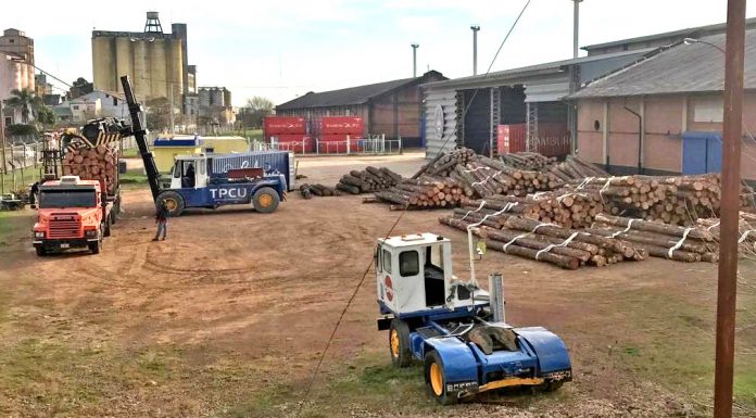 Novedosa carga de madera en el puerto de Concepción del Uruguay