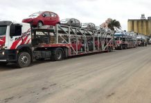 La Zona Franca acopiará en el puerto un gran número de vehículos chinos importados