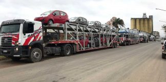 La Zona Franca acopiará en el puerto un gran número de vehículos chinos importados