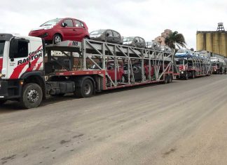 La Zona Franca acopiará en el puerto un gran número de vehículos chinos importados