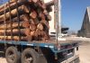 Se está acopiando madera para exportar desde el puerto de Concepción del Uruguay