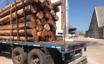 Se está acopiando madera para exportar desde el puerto de Concepción del Uruguay