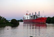 Comenzó en Concepción del Uruguay la carga de madera entrerriana para China