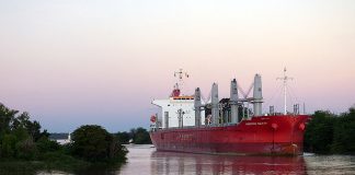 Comenzó en Concepción del Uruguay la carga de madera entrerriana para China