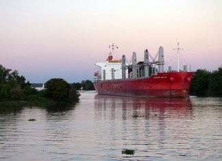 Comenzó en Concepción del Uruguay la carga de madera entrerriana para China