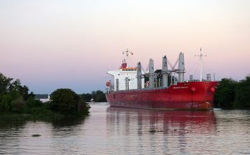 Comenzó en Concepción del Uruguay la carga de madera entrerriana para China