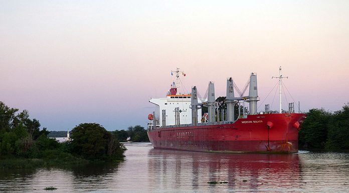 Comenzó en Concepción del Uruguay la carga de madera entrerriana para China