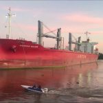 Entre Ríos vuelve a exportar madera