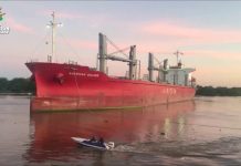 Entre Ríos vuelve a exportar madera