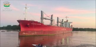 Entre Ríos vuelve a exportar madera