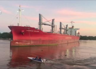 Entre Ríos vuelve a exportar madera