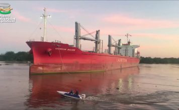 Entre Ríos vuelve a exportar madera