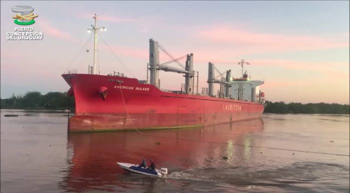 Entre Ríos vuelve a exportar madera