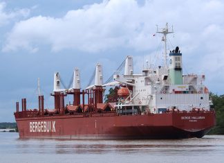 Zarpó el Berge Hallasan para completar carga en Montevideo