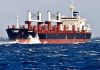 Llega el quinto buque para cargar madera en el puerto de Concepción del Uruguay