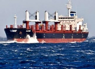 Llega el quinto buque para cargar madera en el puerto de Concepción del Uruguay