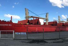 Llegó el “Dvadesetprvi Maj” y comienza la carga de arroz en el puerto de Concepción del Uruguay