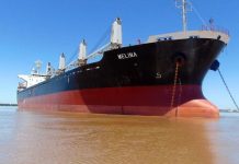 Llega el ultramarino «Melina» para cargar arroz entrerriano a granel