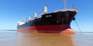 Llega el ultramarino «Melina» para cargar arroz entrerriano a granel