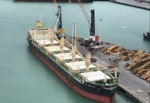 Se suman otros tres buques para cargar en el puerto de Concepción del Uruguay