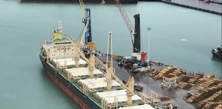 Se suman otros tres buques para cargar en el puerto de Concepción del Uruguay