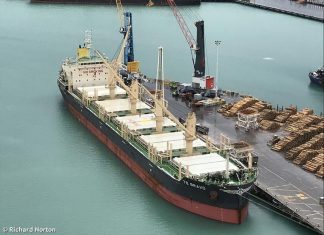 Se suman otros tres buques para cargar en el puerto de Concepción del Uruguay