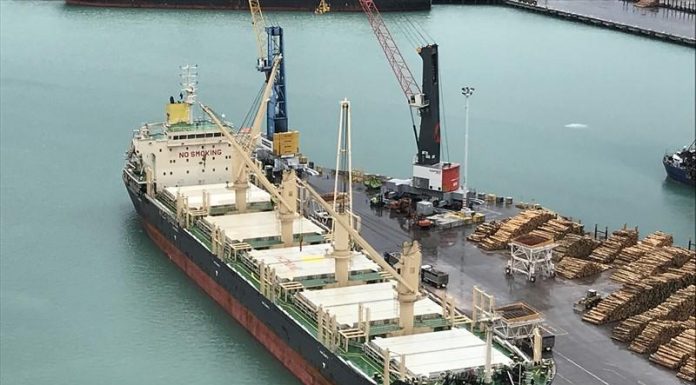 Se suman otros tres buques para cargar en el puerto de Concepción del Uruguay
