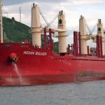 Ingresan dos buques a Concepción del Uruguay para exportar madera y arroz