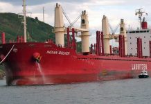 Ingresan dos buques a Concepción del Uruguay para exportar madera y arroz