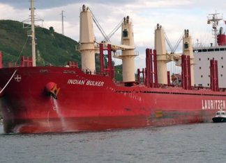 Ingresan dos buques a Concepción del Uruguay para exportar madera y arroz