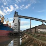 Zarpó un buque con arroz entrerriano y llegan otros dos para exportar madera