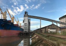 Zarpó un buque con arroz entrerriano y llegan otros dos para exportar madera