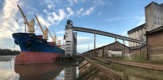 Zarpó un buque con arroz entrerriano y llegan otros dos para exportar madera