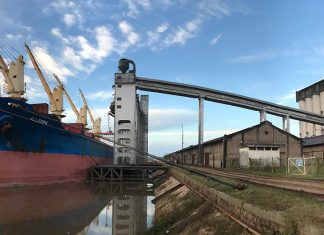 Zarpó un buque con arroz entrerriano y llegan otros dos para exportar madera