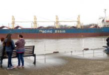 Ingresó el Ocean Exporter a minutos de zarpar el Australian Bulker