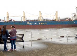 Ingresó el Ocean Exporter a minutos de zarpar el Australian Bulker